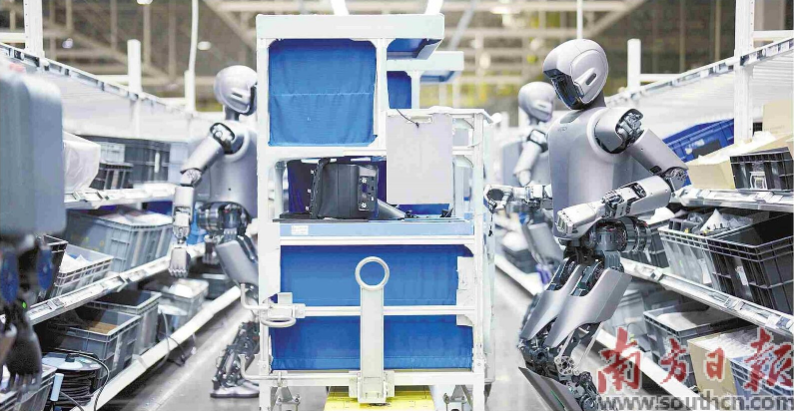 優(yōu)必選工業(yè)人形機(jī)器人在工廠開展協(xié)同實(shí)訓(xùn)。 南方日報(bào)記者 朱洪波 通訊員 羅艷 攝